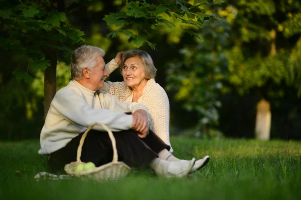 Couple having picnic — Stock Photo, Image