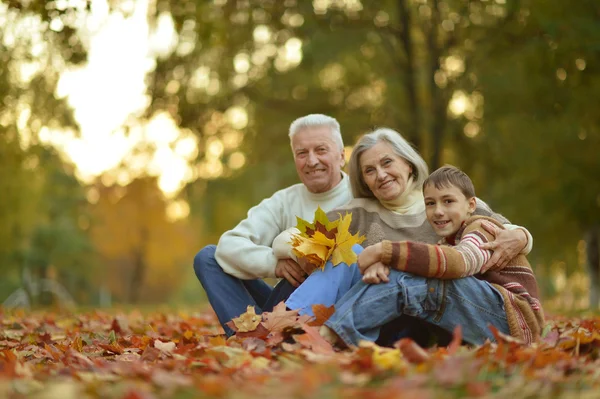 Far-och morföräldrar och granson — Stockfoto