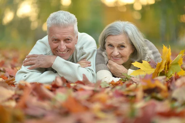 Pareja en el parque de otoño — Foto de Stock