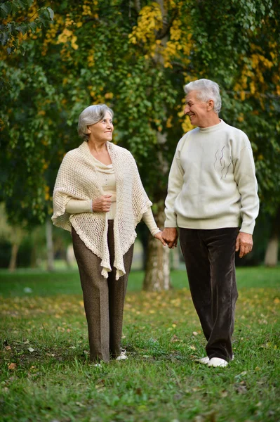 Seniorenpaar im Sommerpark — Stockfoto