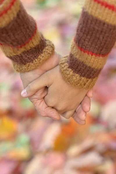 Ruce proti spadaného listí — Stock fotografie
