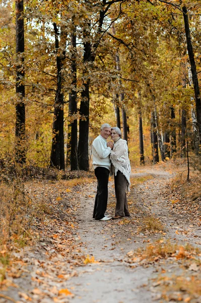 Äldre par på park — Stockfoto