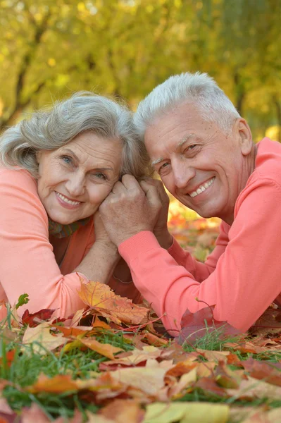 Couple in autumn park — Stock Photo, Image