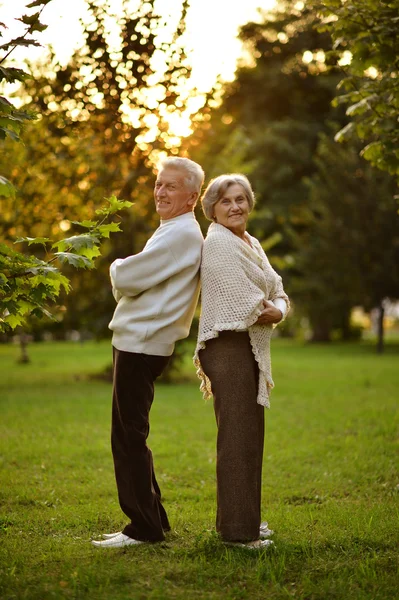 Seniorenpaar im Sommerpark — Stockfoto