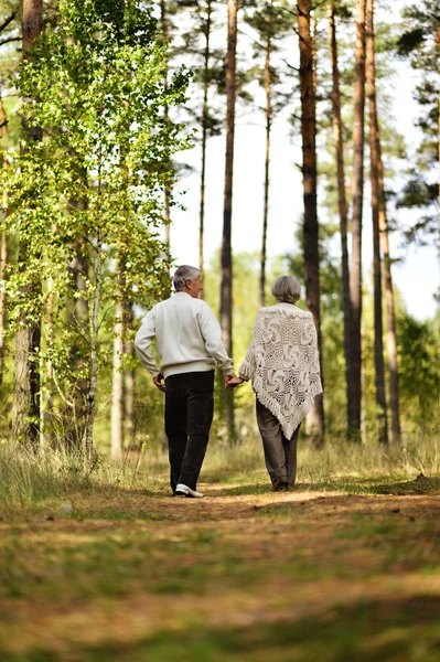 Coppia anziana nella foresta autunnale — Foto Stock