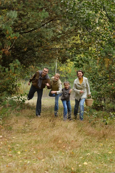 Perhe syksyllä metsässä — kuvapankkivalokuva