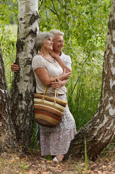 Coppia anziana nella foresta — Foto Stock