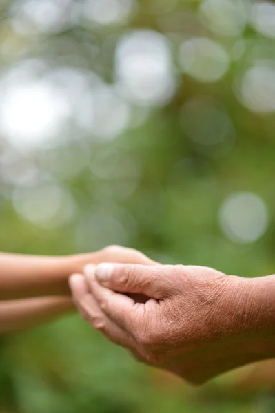 Hands held together — Stock Photo, Image