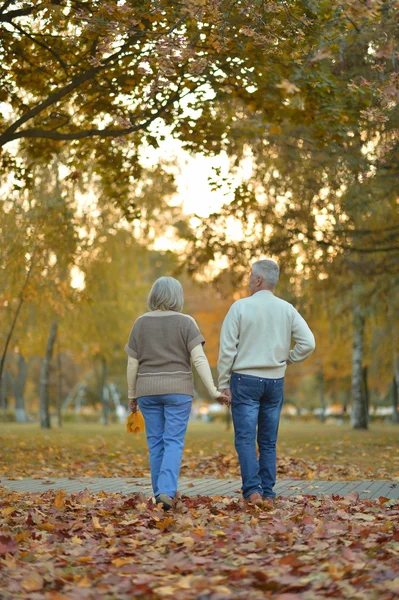 Äldre par i parken — Stockfoto