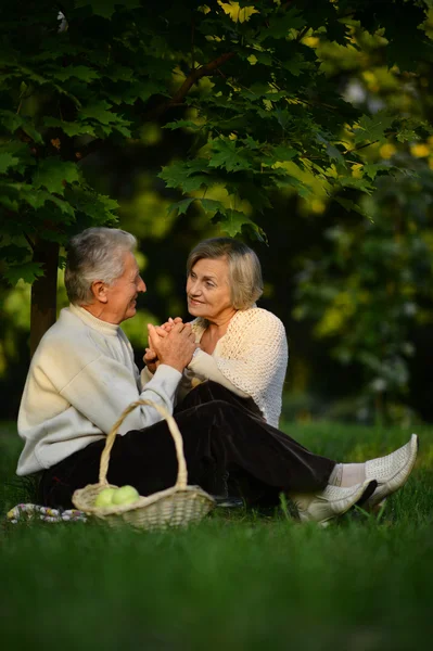 Pareja mayor en el parque de verano — Foto de Stock