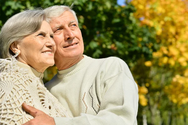 Senior koppel in zomer park — Stockfoto