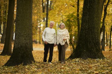 Older couple in park clipart