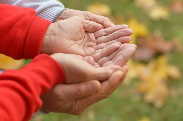 Hands held together — Stock Photo, Image