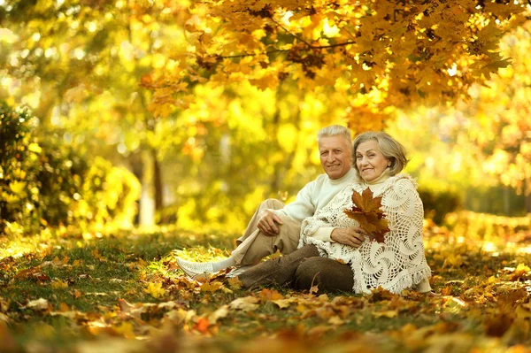 Pareja de ancianos en otoño parque — Foto de Stock