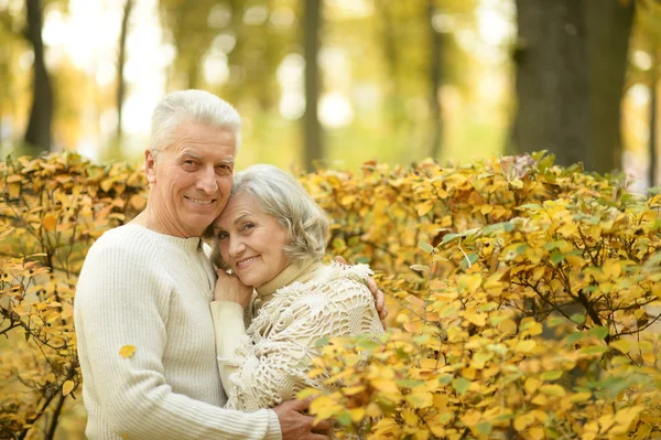 Parejas maduras en el parque — Foto de Stock