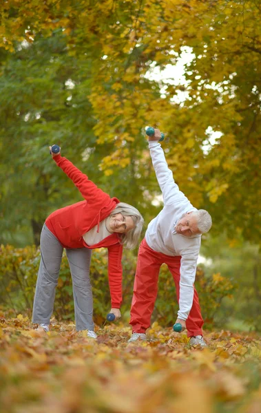 Pár cvičení v parku — Stock fotografie