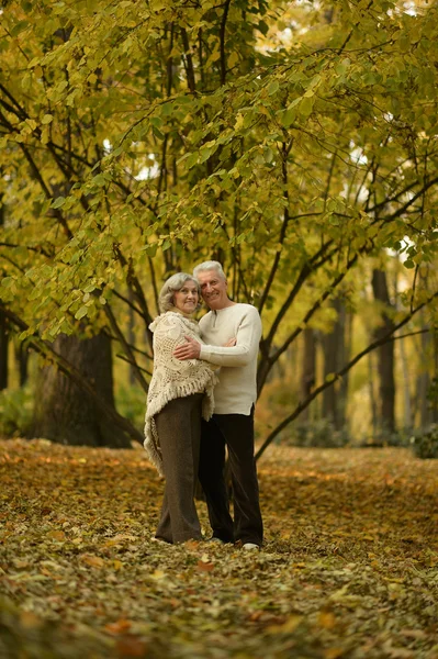 Mature couple in park — Stock Photo, Image