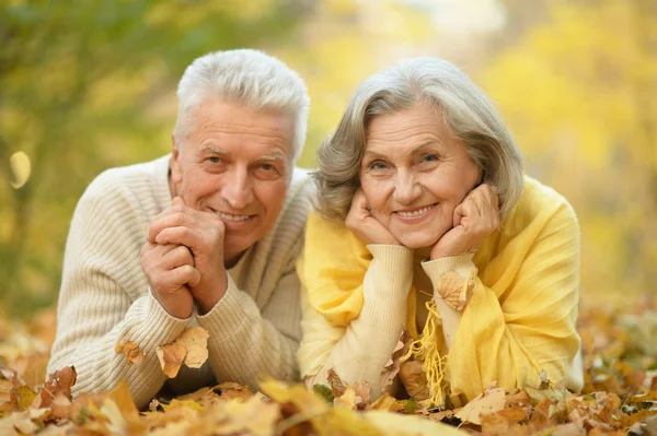 Pareja en el parque de otoño — Foto de Stock