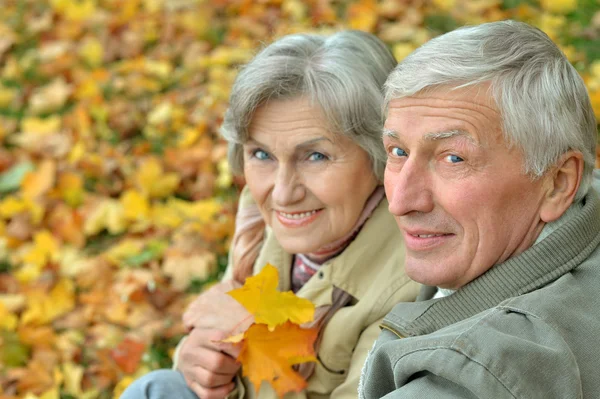 Coppia anziana nella foresta autunnale — Foto Stock