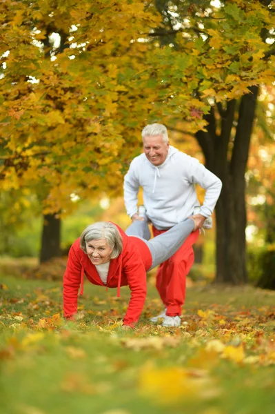 Exercício de casal no parque — Fotografia de Stock