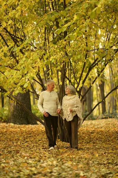 Casal maduro no parque — Fotografia de Stock