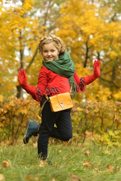शरद ऋतू पार्क मध्ये मुलगी — स्टॉक फोटो, इमेज