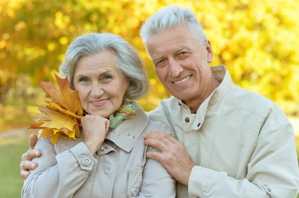 Paar in herfstpark — Stockfoto