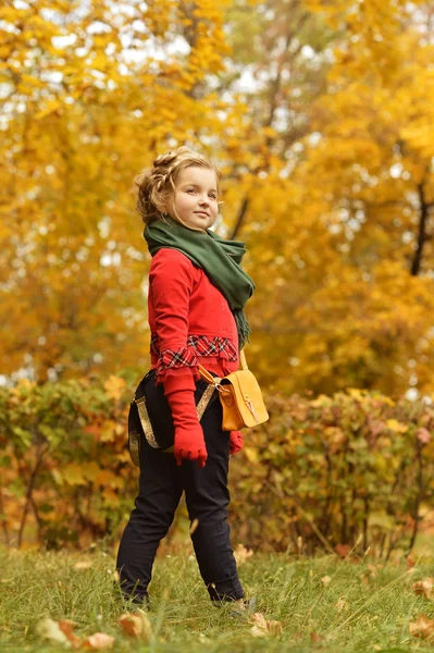 Ragazza nel parco di autunno — Foto Stock