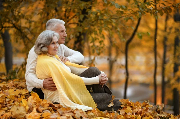 Pareja en el parque de otoño — Foto de Stock