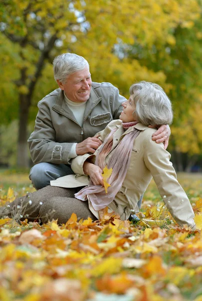 Pareja mayor en bosque otoñal — Foto de Stock