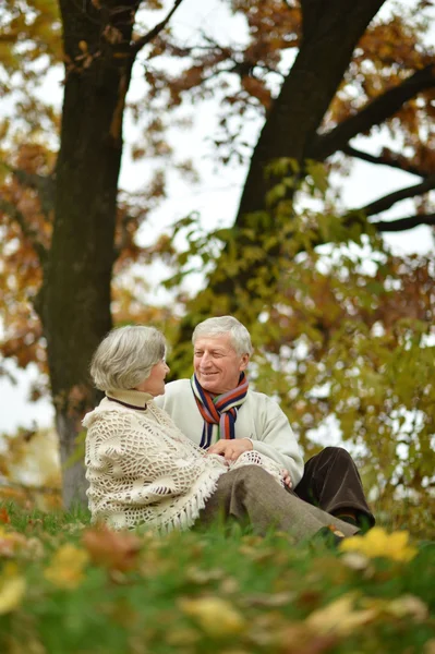 Parejas maduras en el parque — Foto de Stock