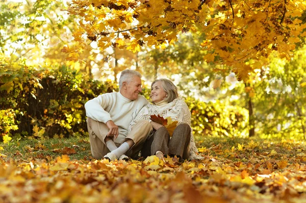 Äldre par i höst park — Stockfoto