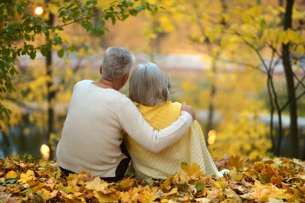 Pareja en el parque de otoño — Foto de Stock