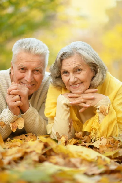 Paar in herfstpark — Stockfoto