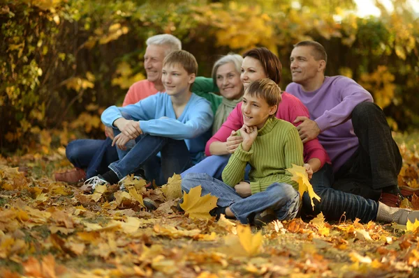 Sonbahar parkında mutlu bir aile — Stok fotoğraf