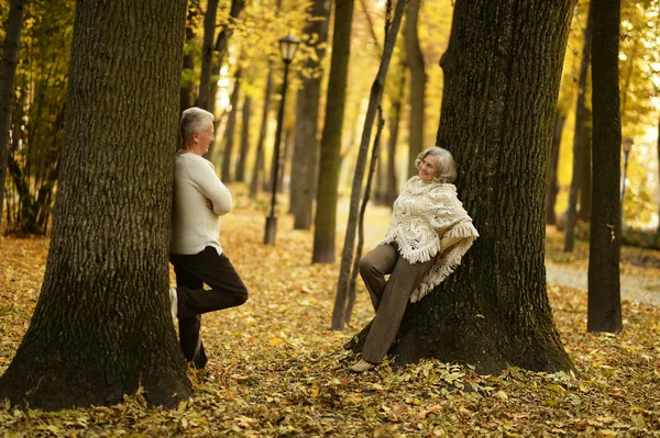 Parkta yaşlı çift — Stok fotoğraf