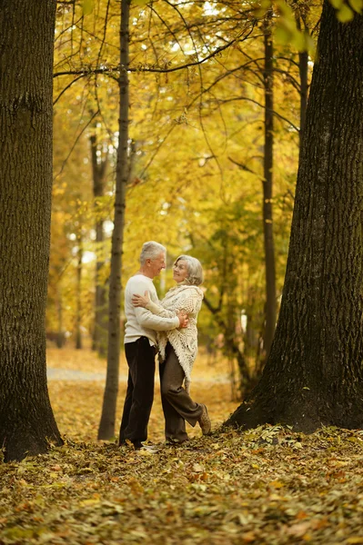 Ouder paar in park — Stockfoto