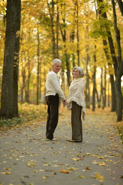 Ouder paar in park — Stockfoto