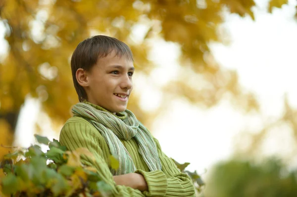 Little boy in the autumn — Stock Photo, Image