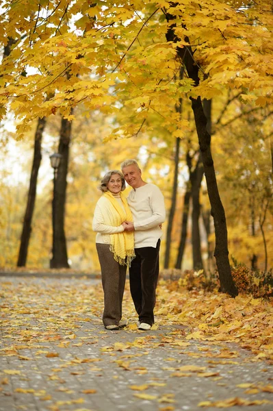 Couple âgé dans le parc — Photo