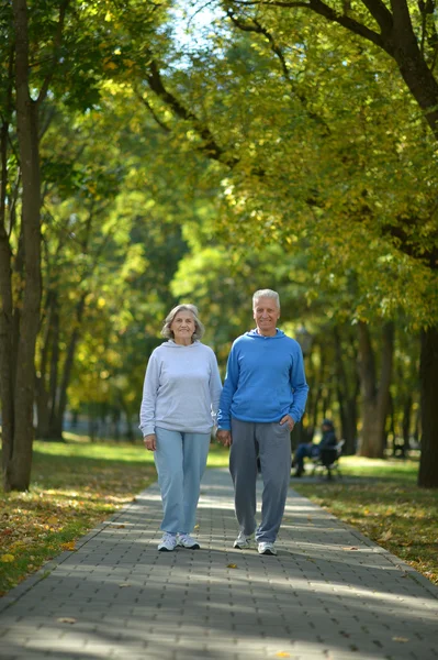 Paar im Herbstpark — Stockfoto