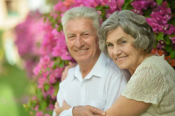 Ouderling paar met roze bloemen — Stockfoto