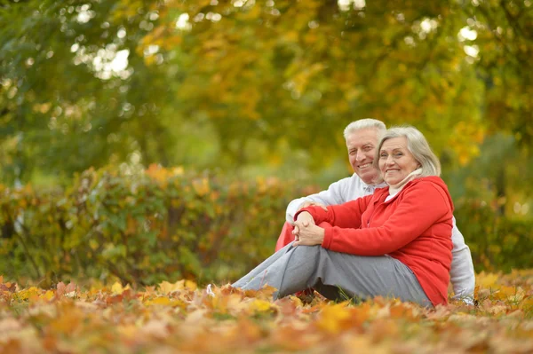 Pareja en el parque de otoño — Foto de Stock