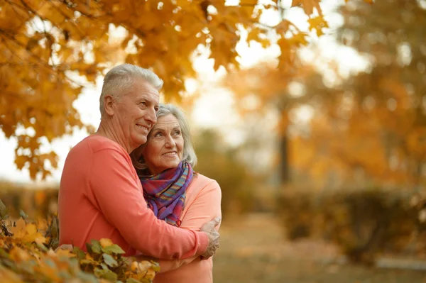 Older couple in park — Stock Photo, Image