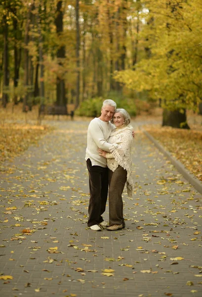 Casal maduro no parque — Fotografia de Stock