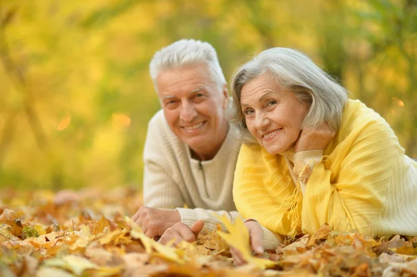 Coppia nel parco autunnale — Foto Stock