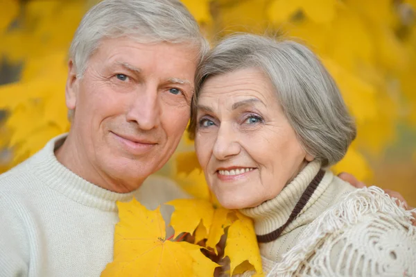 Mature couple in park — Stock Photo, Image