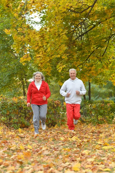 Couple exercising in park — Stock Photo, Image