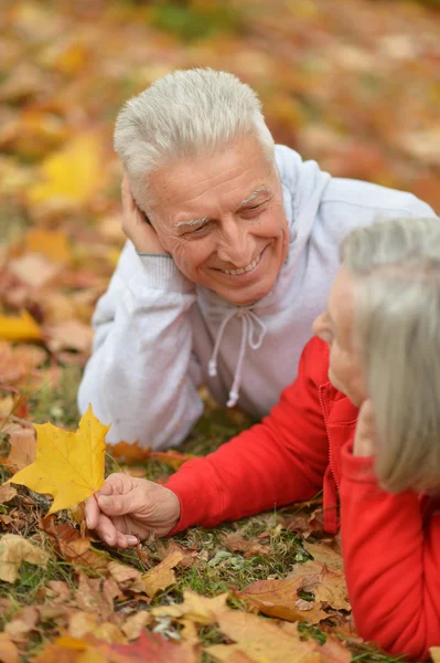 Paar in herfstpark — Stockfoto