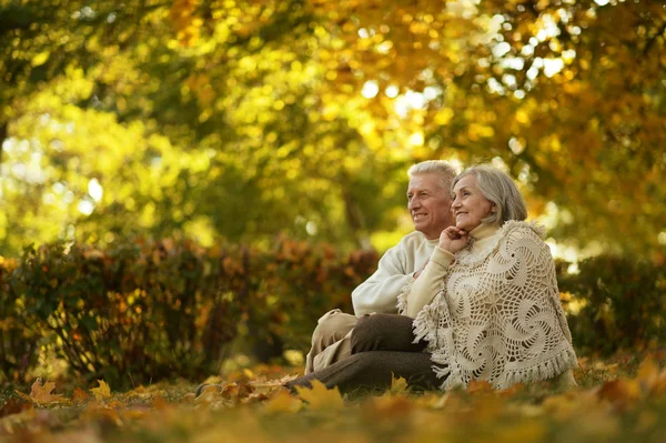 Coppia anziana nel parco autunnale — Foto Stock